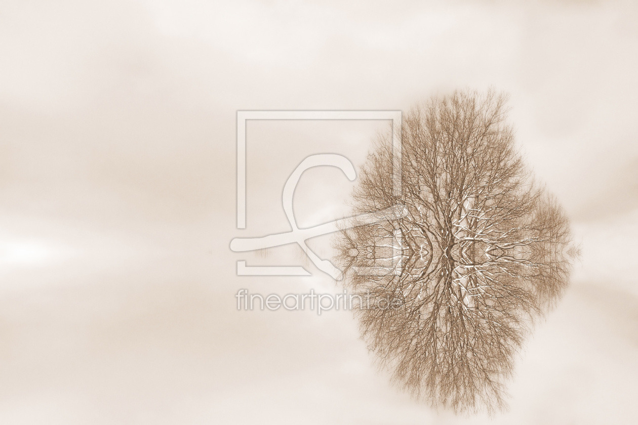 Bild-Nr.: 9897948 Wintermelancholie erstellt von Renate Knapp