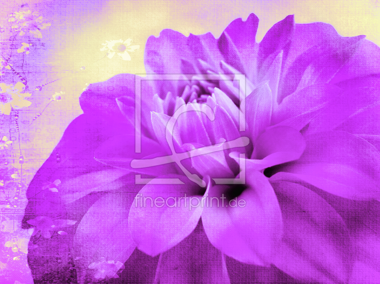 Bild-Nr.: 9907488 ~ Dahlia ~  0 2 erstellt von Galerie-Fotoeffekt