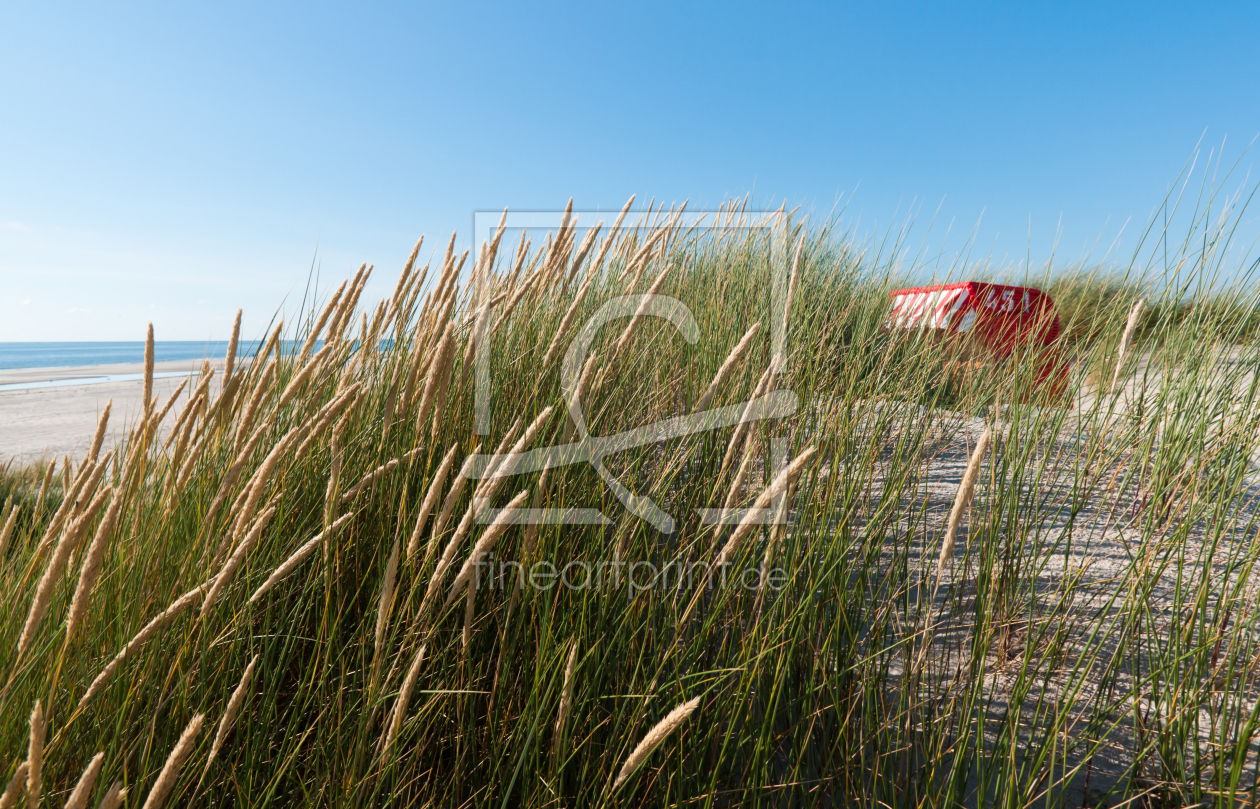 Bild-Nr.: 9908622 Strandhafer erstellt von Reiner Würz