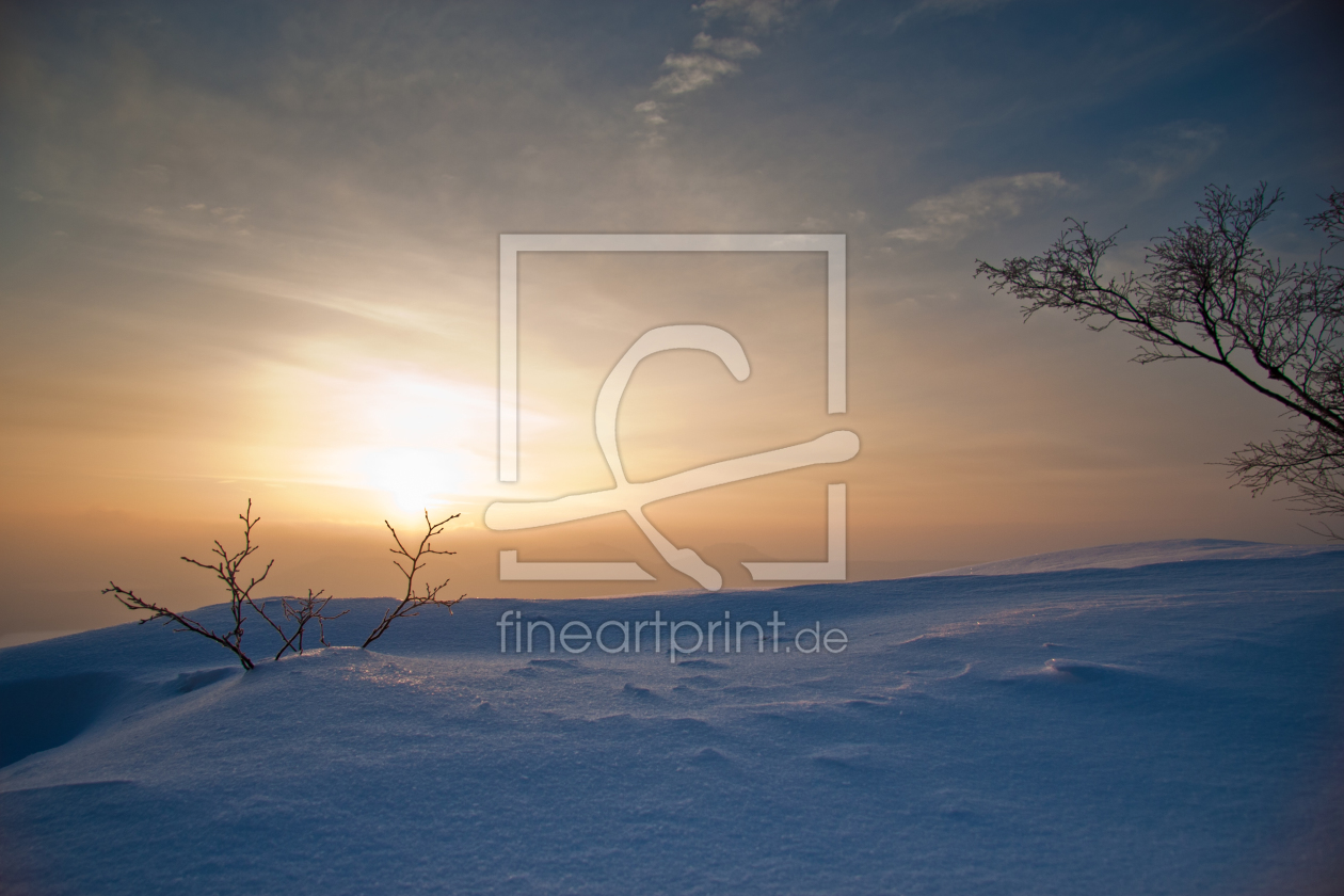 Bild-Nr.: 9910668 Winterlandschaft bei Sonnenaufgang erstellt von Pixatom