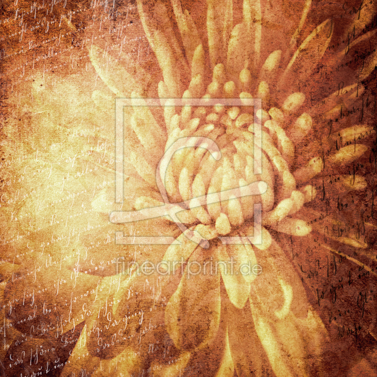 Bild-Nr.: 9920784 Crisantemo Romantico | 04 erstellt von Frank Wächter