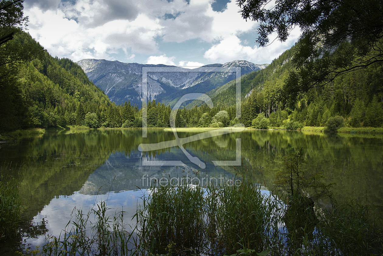 Bild-Nr.: 9924118 Grüner See erstellt von cbsva