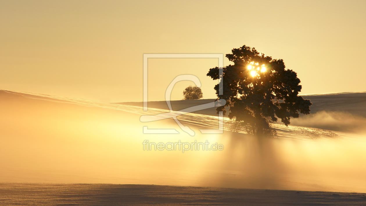 Bild-Nr.: 9925840 Lichtspiel 2 erstellt von Fotostyler
