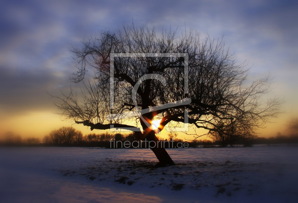 Bild-Nr.: 9927984 Winterromantik erstellt von Renate Knapp