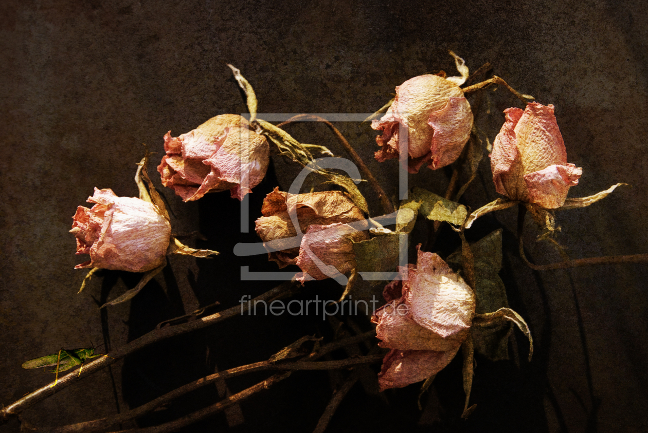 Bild-Nr.: 9928500 Vanitas 2 Bild-Nr.: 9928500 Vanitas 2 erstellt von ipahit