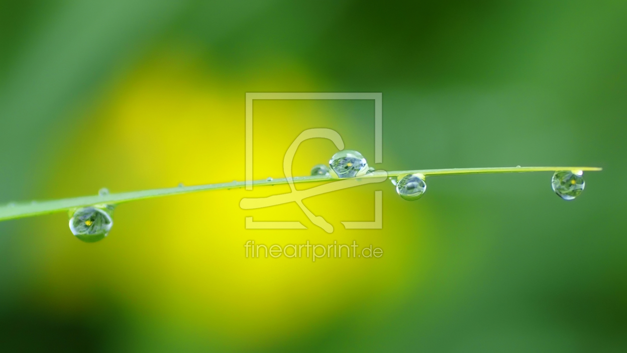 Bild-Nr.: 9932596 Waterdrops erstellt von Franz Bogner