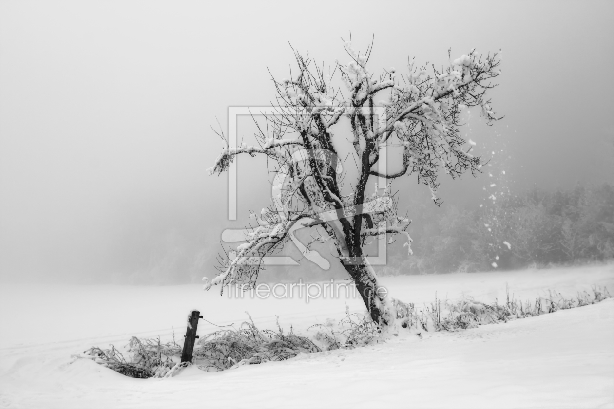 Bild-Nr.: 9934564 Schneefall.. erstellt von Manfred-