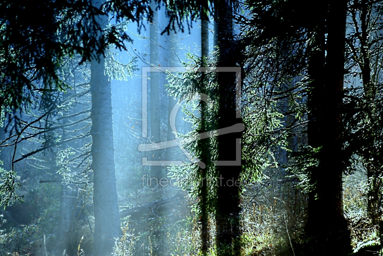 Bild-Nr.: 9936479 Morning has broken erstellt von youhaveadream
