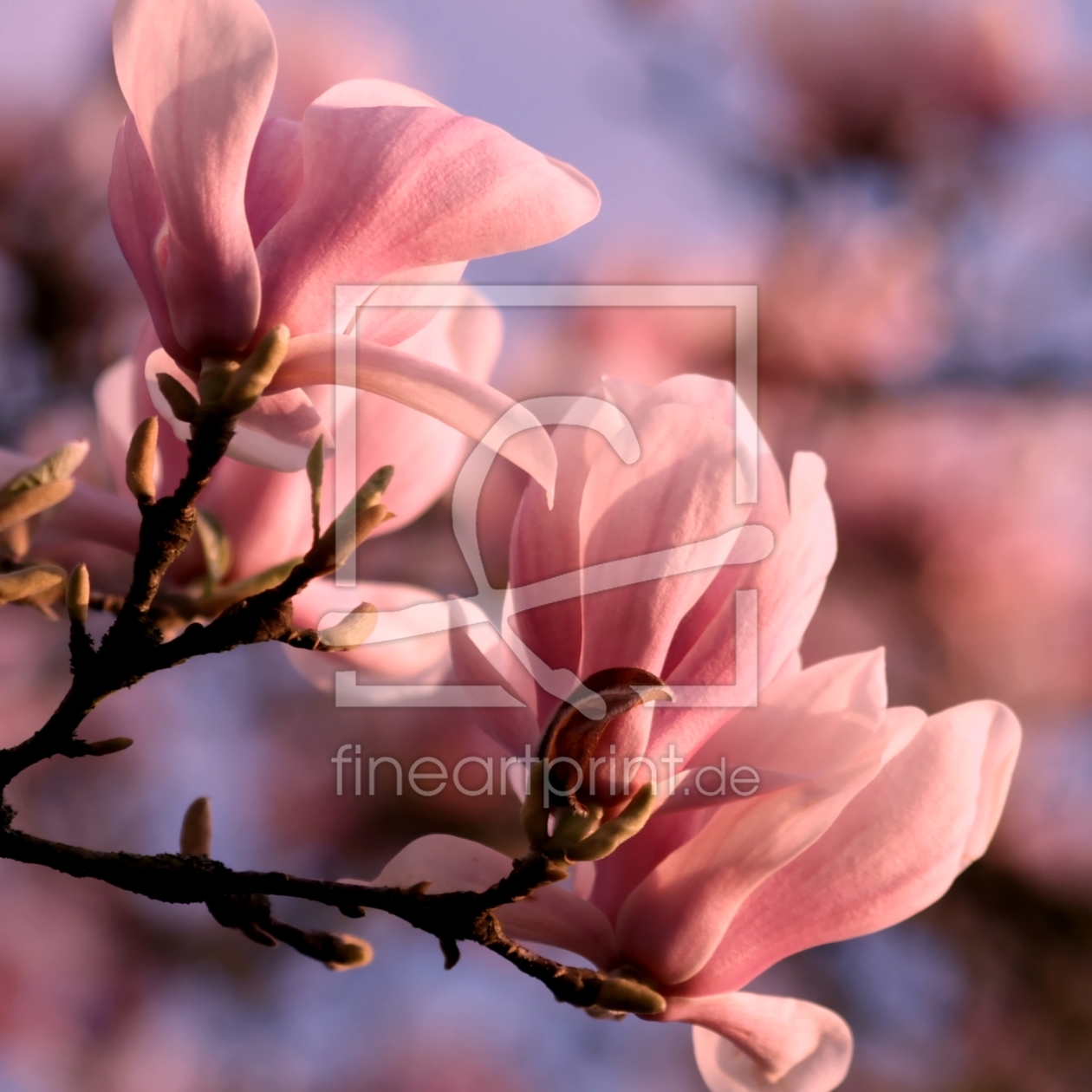 Bild-Nr.: 9938343 Printemps Bild-Nr.: 9938343 Printemps erstellt von youhaveadream