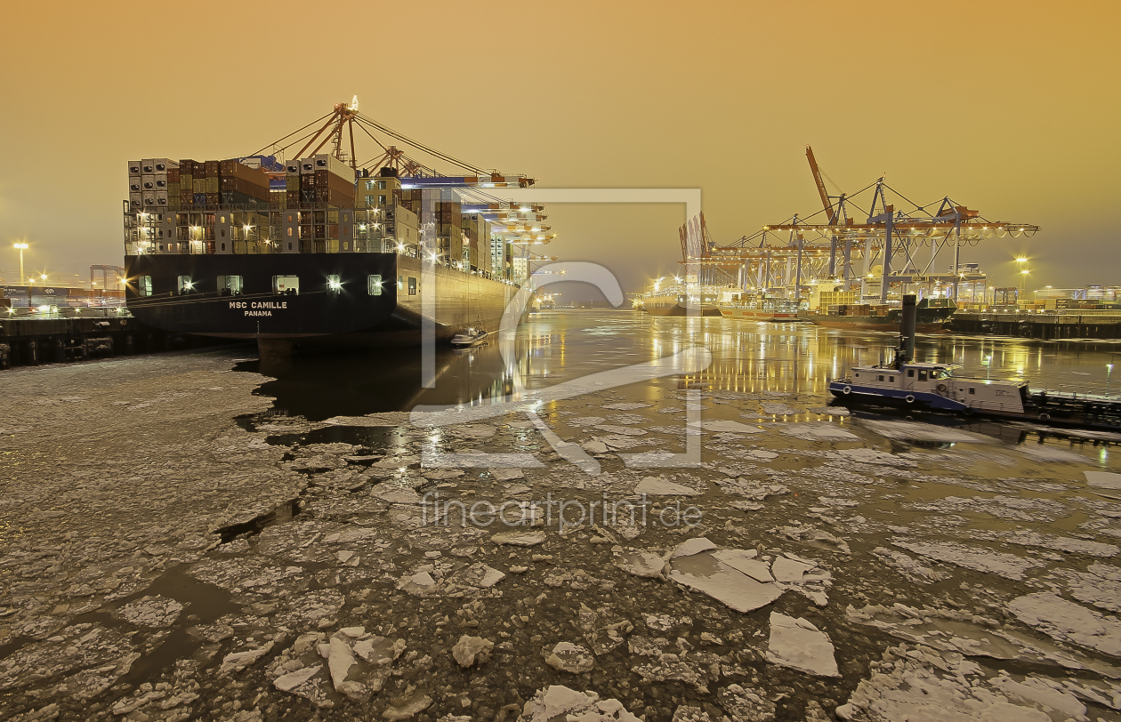 Bild-Nr.: 9944359 MSC Camille Panama  erstellt von PhotoArt-Hartmann