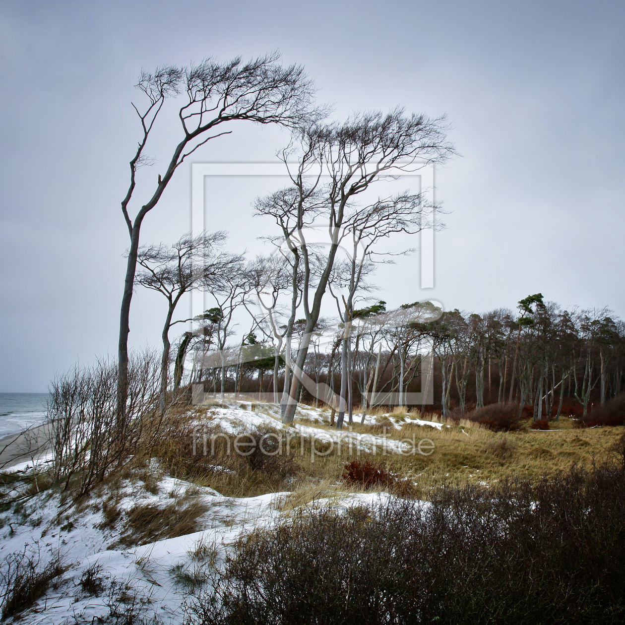 Bild-Nr.: 9945313 Lost Place erstellt von FotoDeHRO