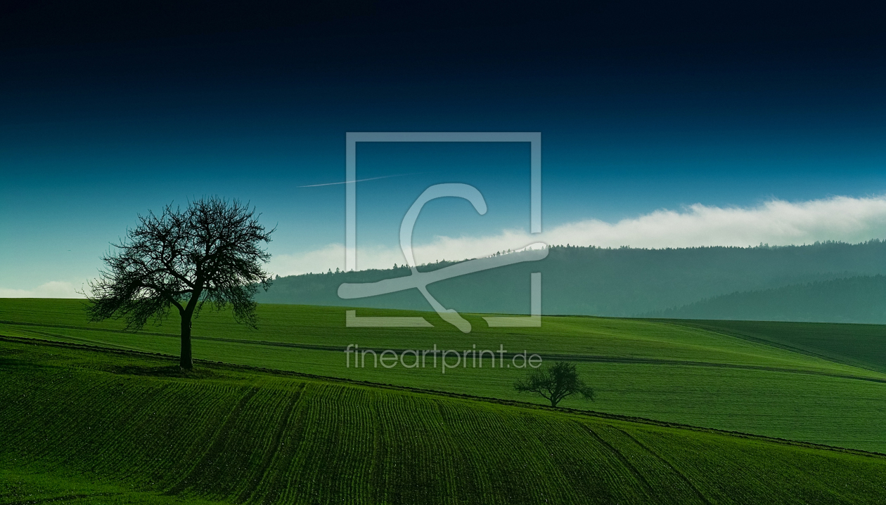 Bild-Nr.: 9946017 Landschaft am Limes - Dasbach erstellt von Jan Domke