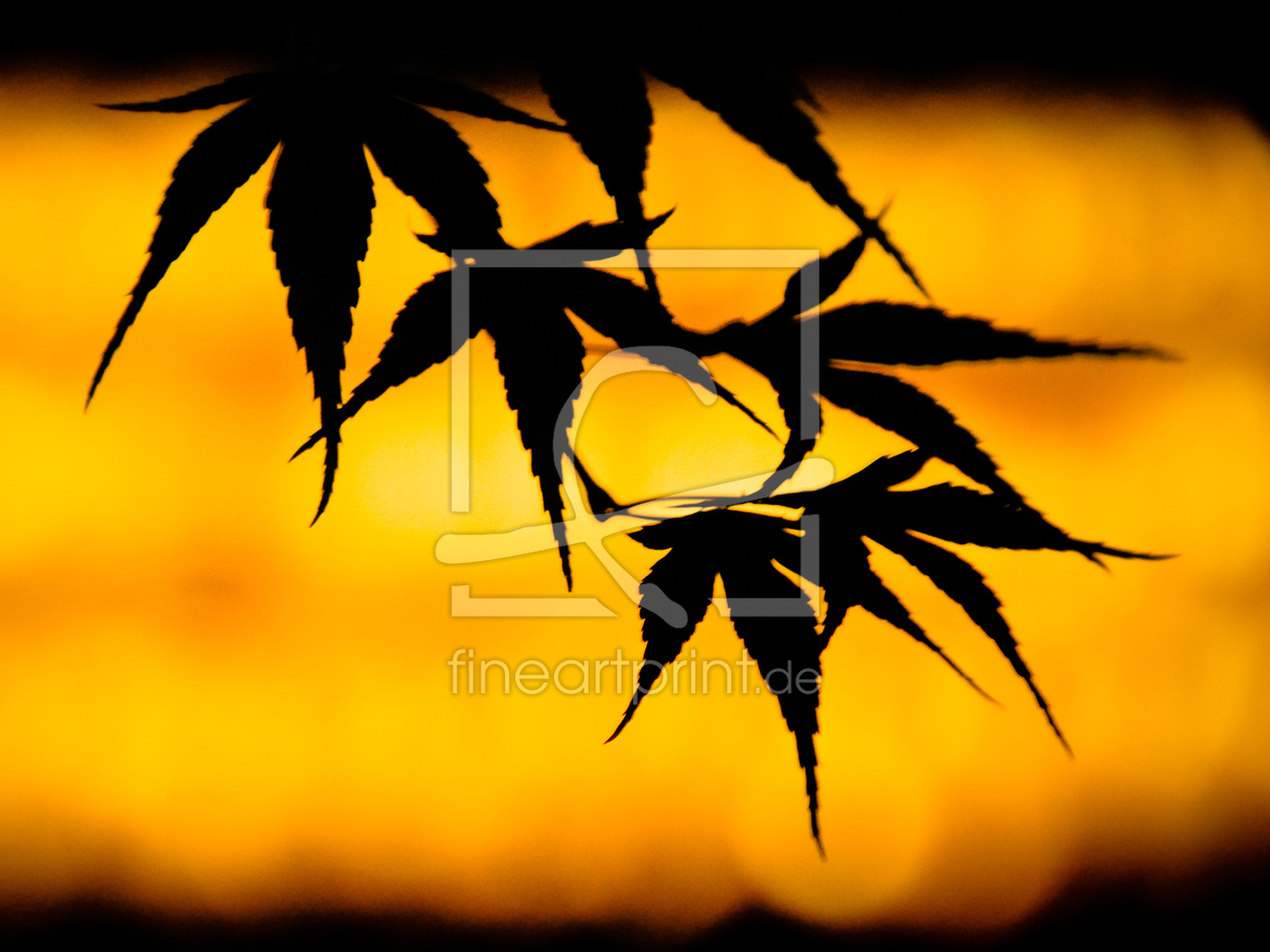 Bild-Nr.: 9946301 Silhouettes of maple leaves erstellt von manganite