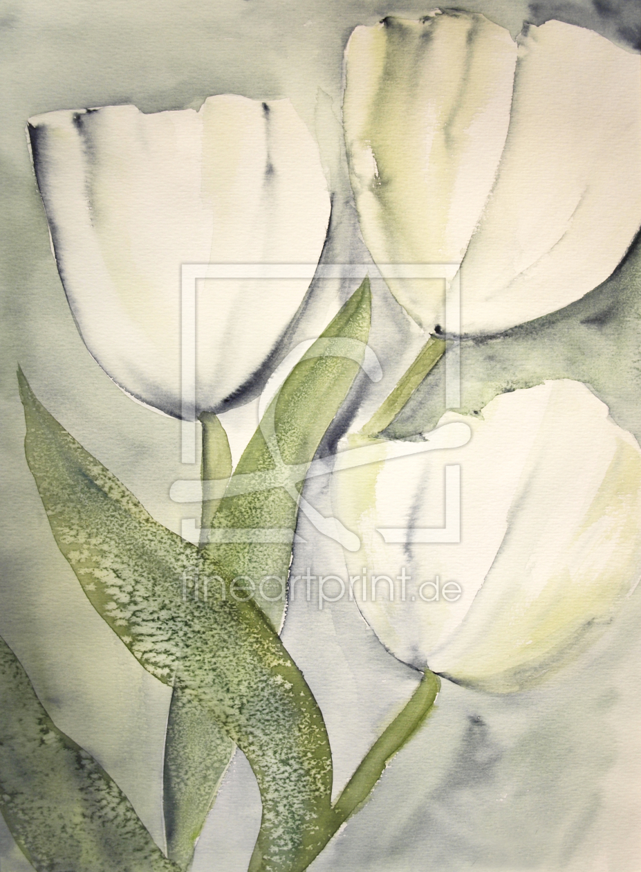 Bild-Nr.: 9947325 Tulpen Impression  erstellt von Galerie-Fotoeffekt