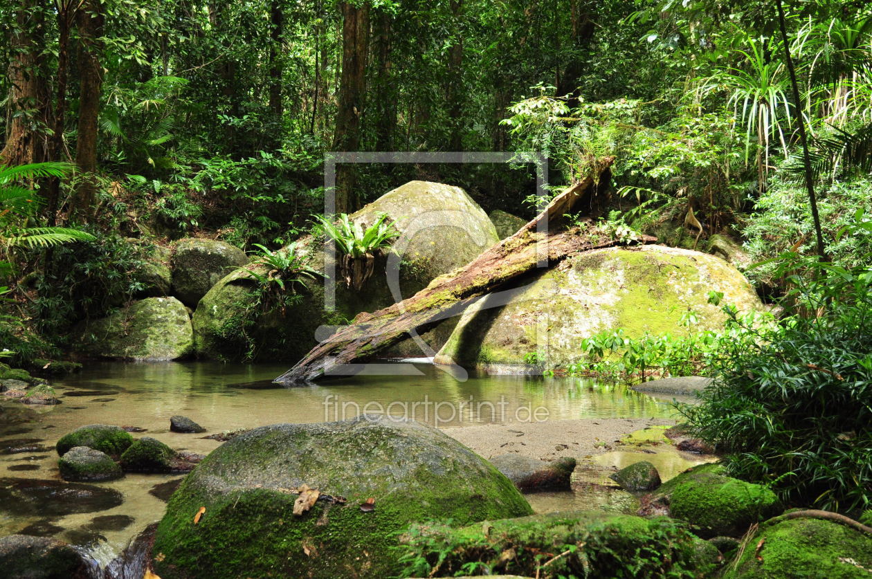 Bild-Nr.: 9950787 Rainforest erstellt von nikonian71