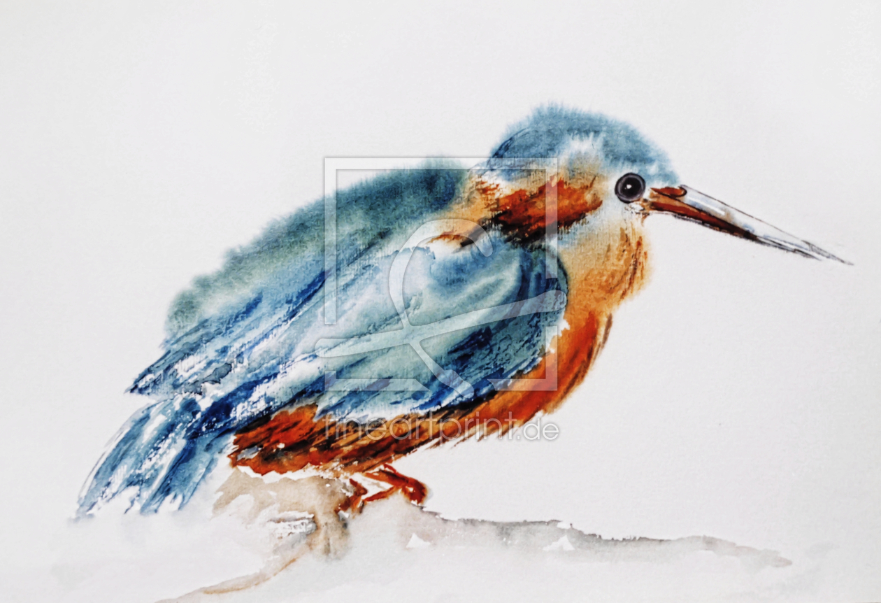 Bild-Nr.: 9950893 Eisvogel - Aquarell erstellt von Galerie-Fotoeffekt