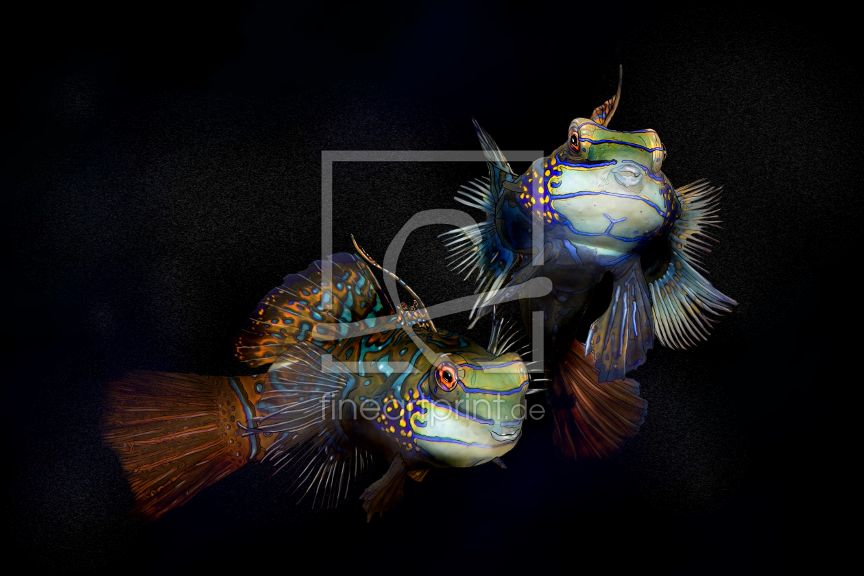 Bild-Nr.: 9955297 Mandarin Leierfisch erstellt von Dreblow