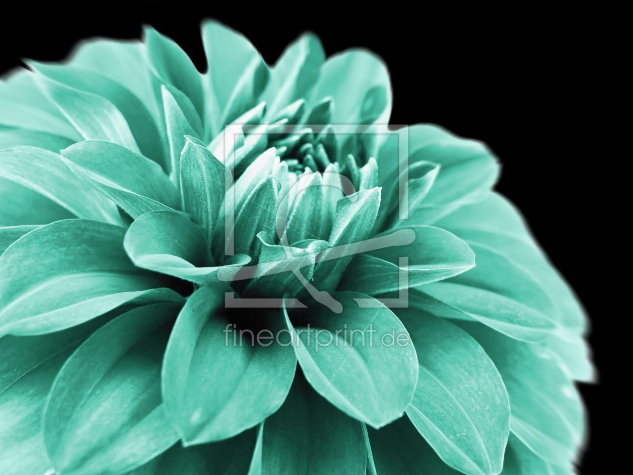 Bild-Nr.: 9960351 Dahlia - Floral erstellt von Galerie-Fotoeffekt