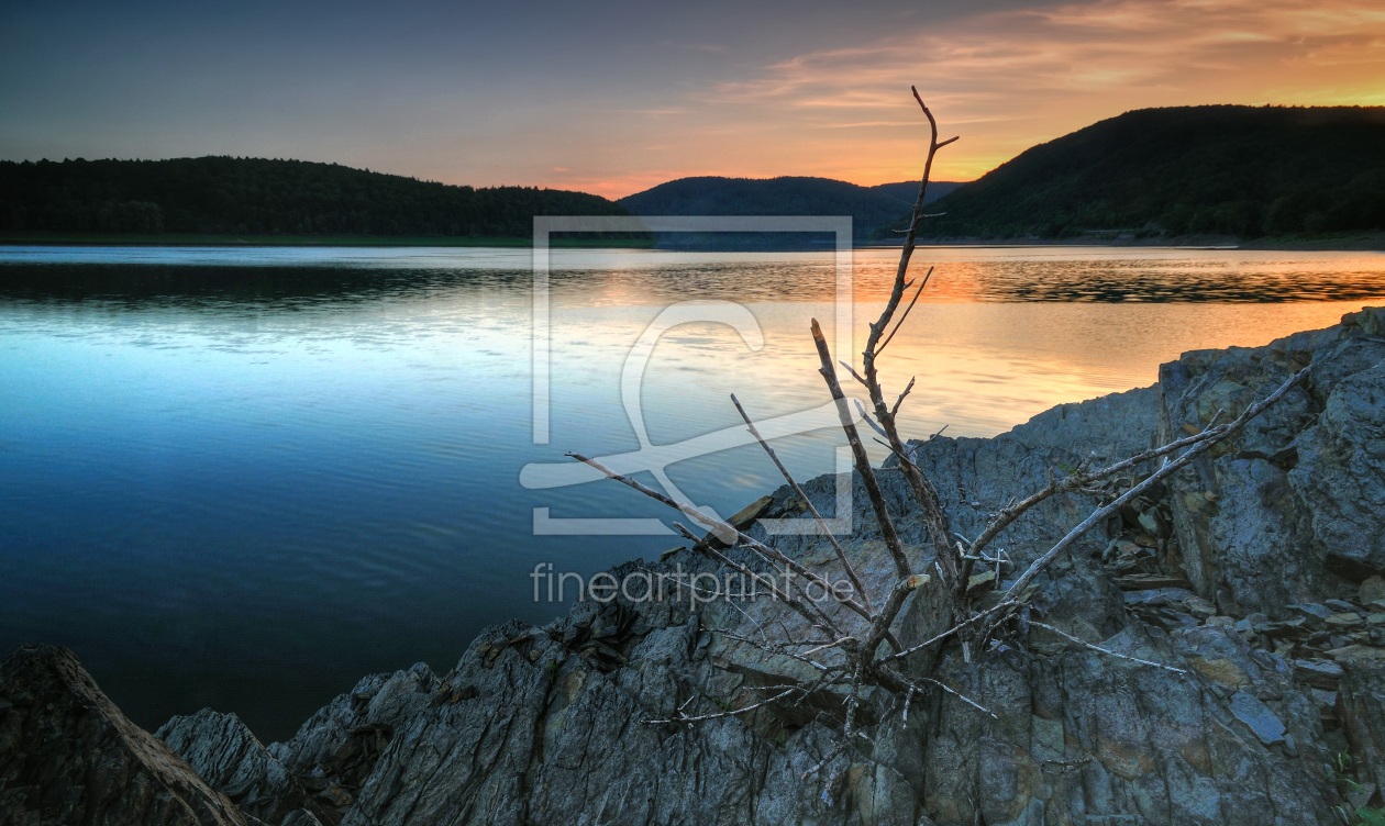 Bild-Nr.: 9960721 dry bush @ the rock erstellt von KamboDscha