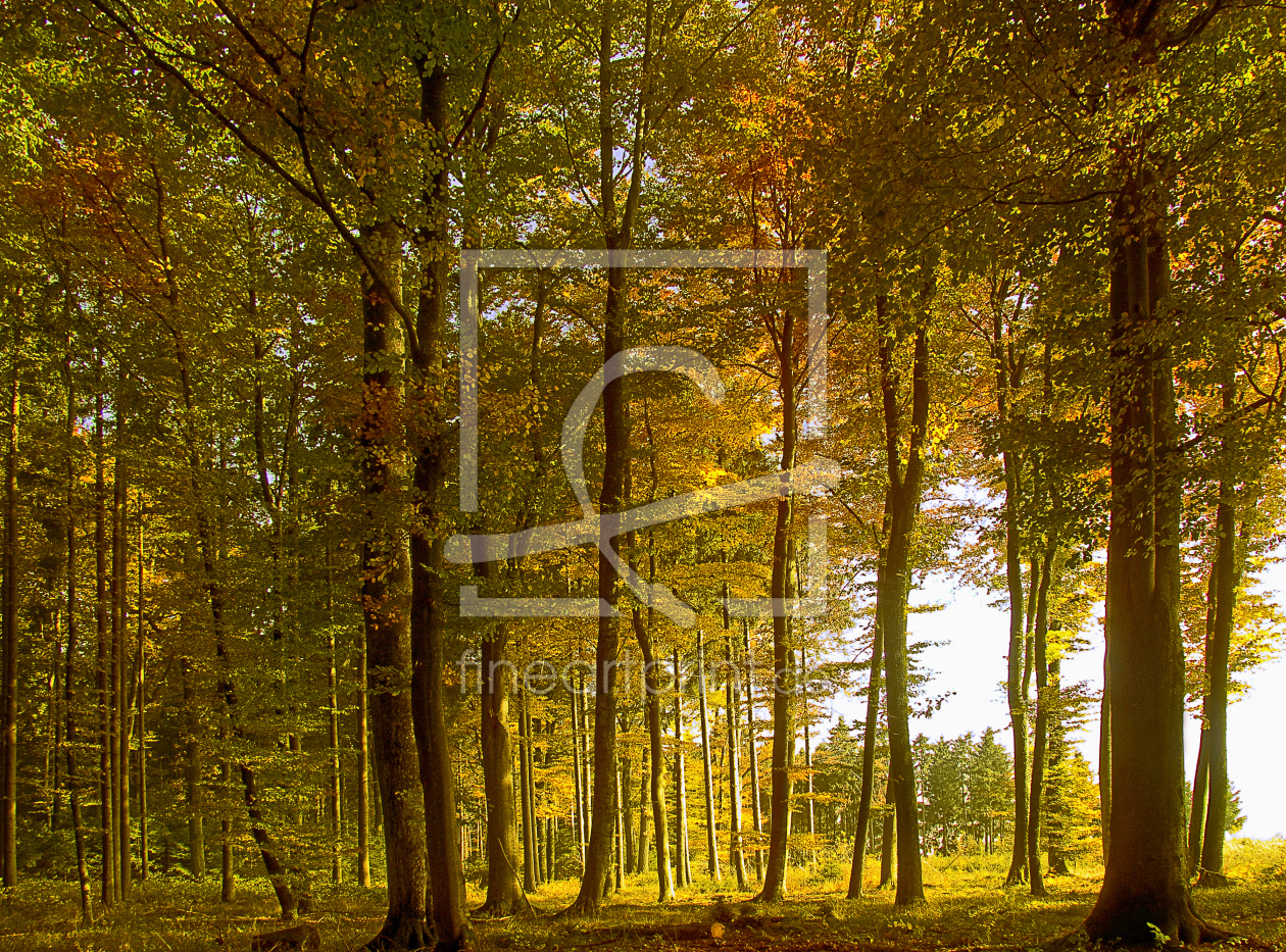 Bild-Nr.: 9962667 herbstfarben erstellt von Gisela Baiker