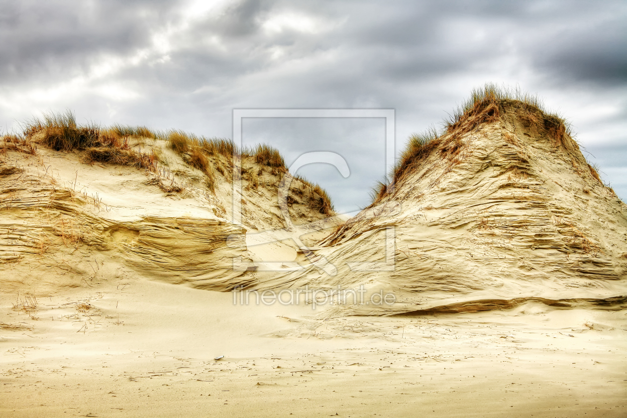 Bild-Nr.: 9964400 Dünen Impressionen XIII erstellt von Timo Geble