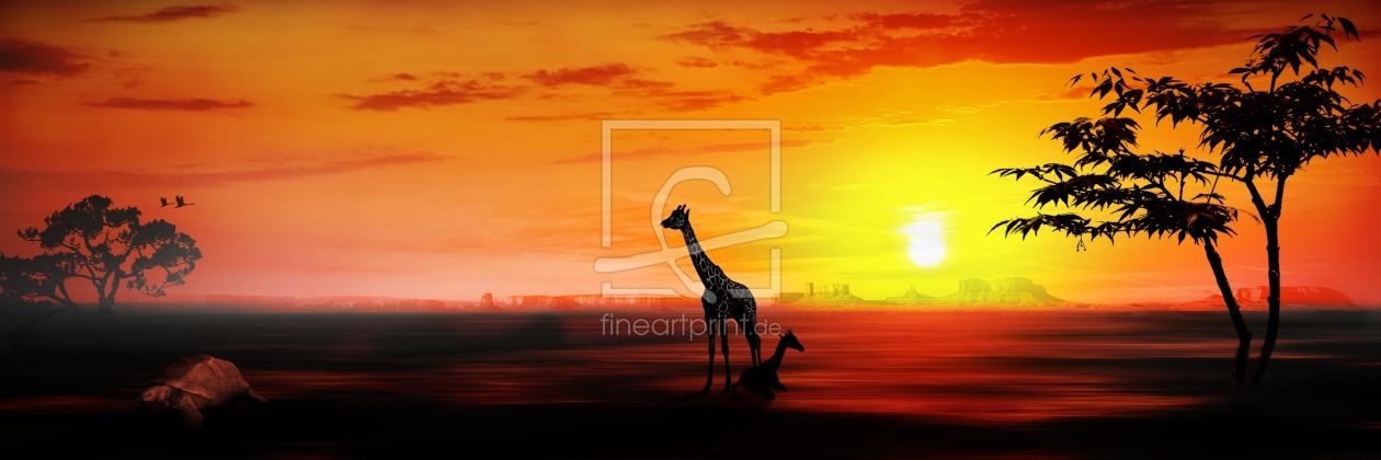 Bild-Nr.: 9964410 Giraffen  erstellt von PAPARAZZO-Fotokunst