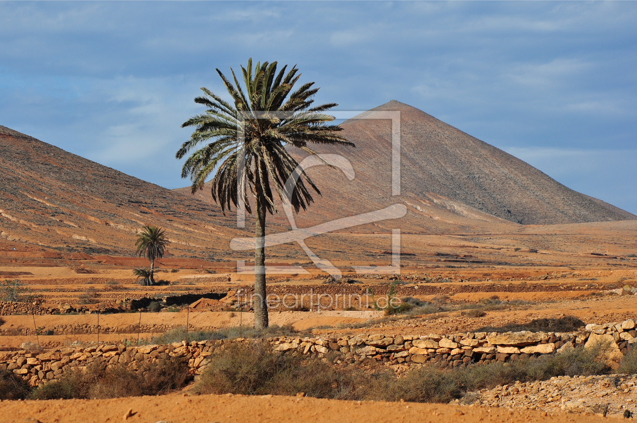 Bild-Nr.: 9965416 Fuerteventura erstellt von Almut Rother