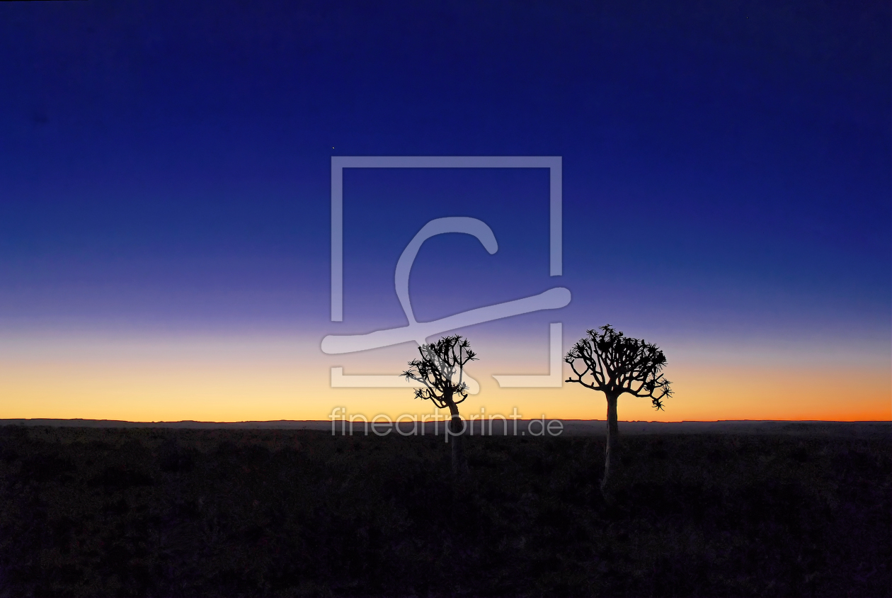 Bild-Nr.: 9966122 Quivertree sunset erstellt von Taunusbilder
