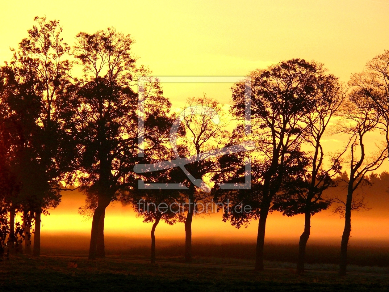 Bild-Nr.: 9970735 Morgennebel erstellt von Ostfriese