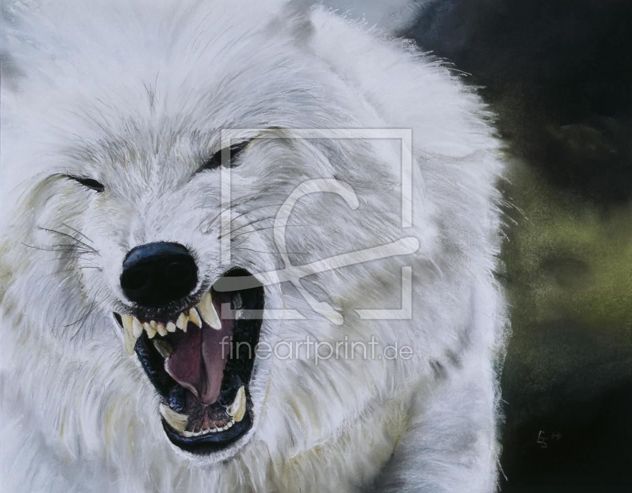 Bild-Nr.: 9972616 Polarwolf erstellt von suender-artworks