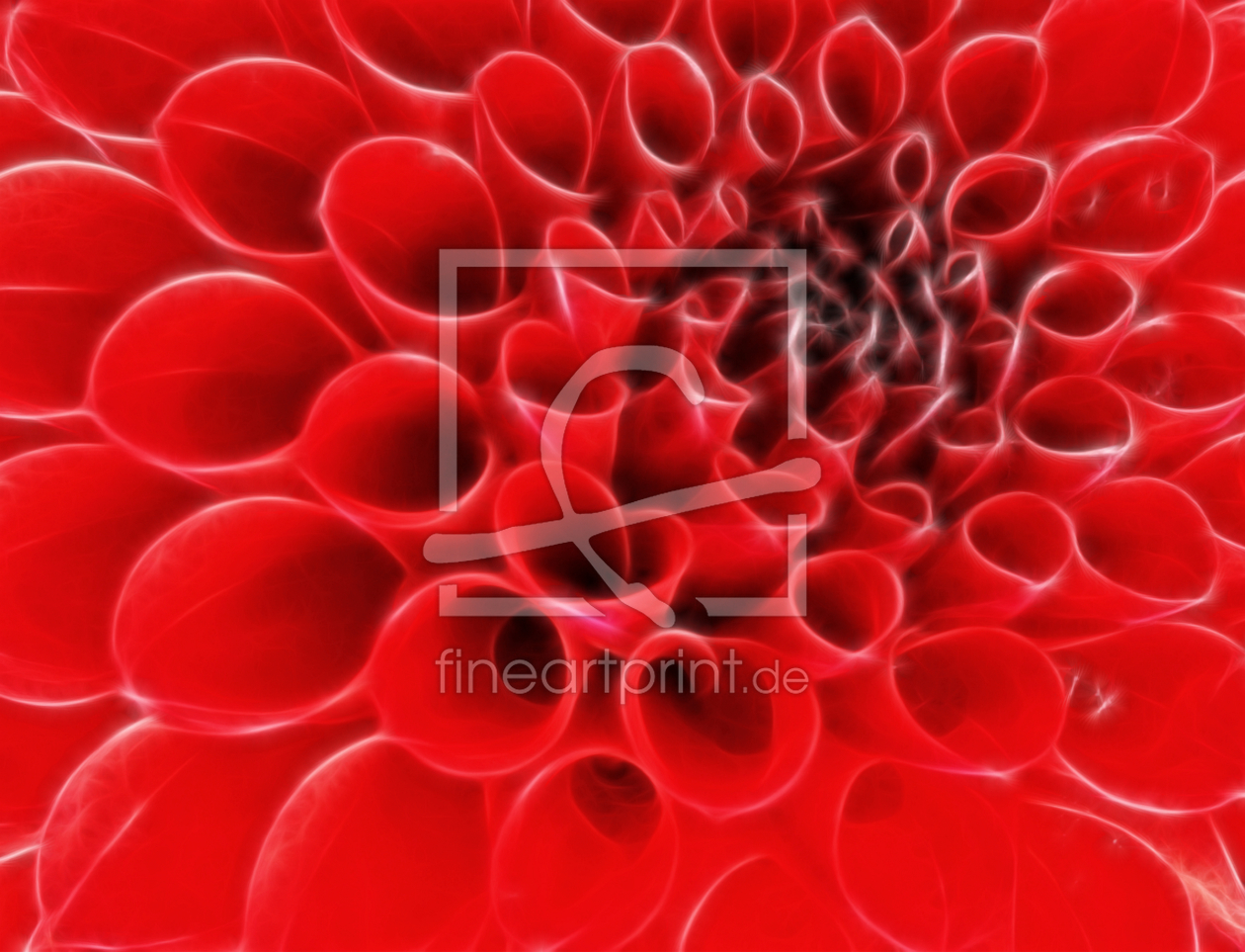 Bild-Nr.: 9977115 Dahlia - 01 Bild-Nr.: 9977115 Dahlia - 01 erstellt von Nettesart