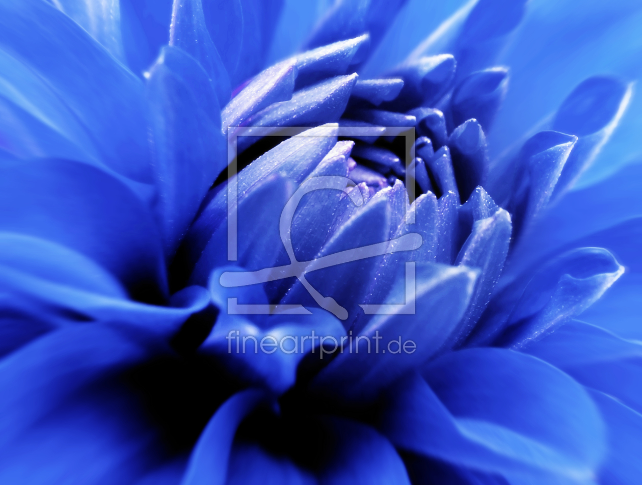 Bild-Nr.: 9981422 Dahlia Bild-Nr.: 9981422 Dahlia erstellt von Nettesart