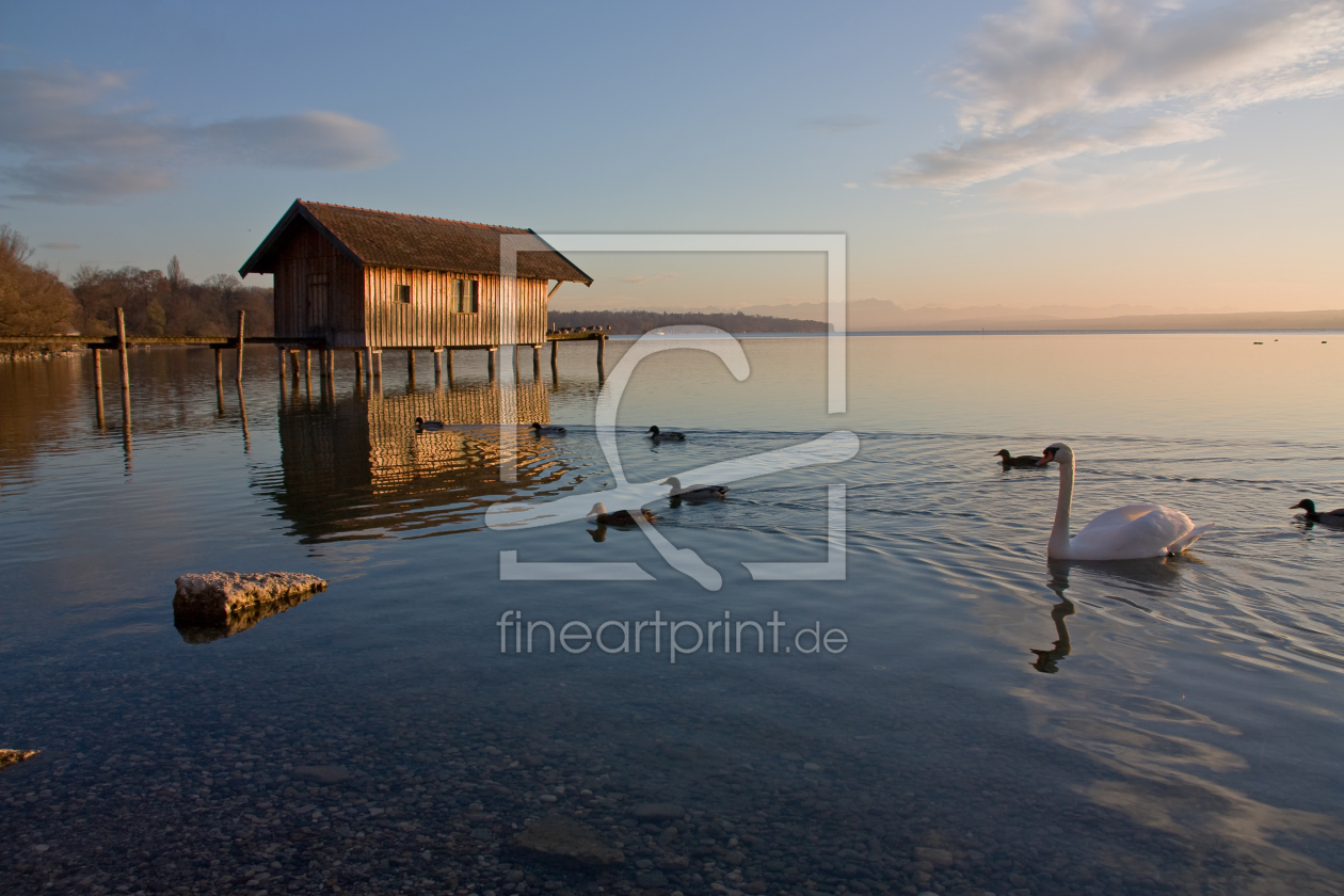 Bild-Nr.: 9984108 Leben auf dem Ammersee erstellt von Maurice Küsel