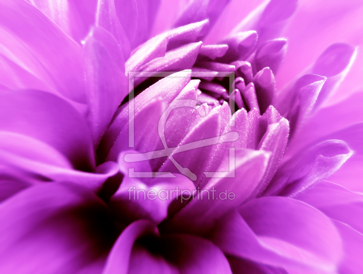 Bild-Nr.: 9986595 Dahlia  erstellt von Galerie-Fotoeffekt