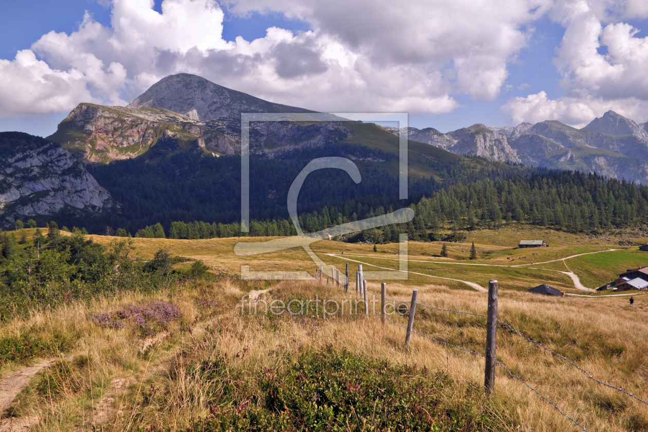 Bild-Nr.: 9987835 Almwirtschaft Gotzenalm überm Königssee erstellt von Rene Müller