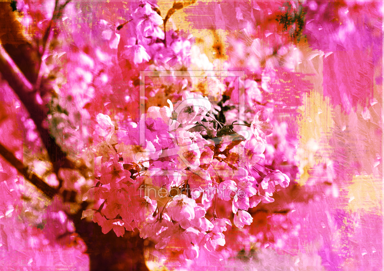 Bild-Nr.: 9992607 Kirschblüte erstellt von Atteloi