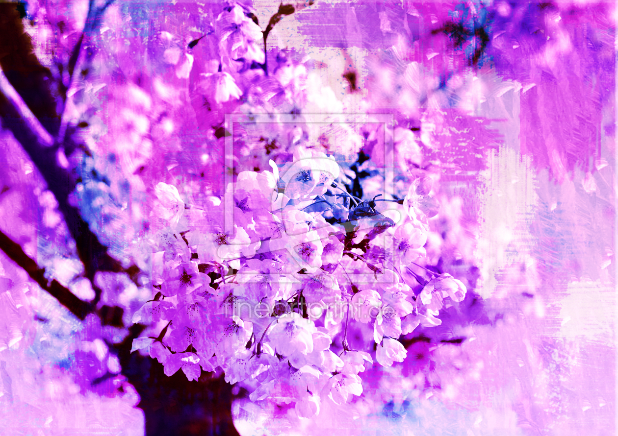 Bild-Nr.: 9992611 Kirschblüte erstellt von Atteloi