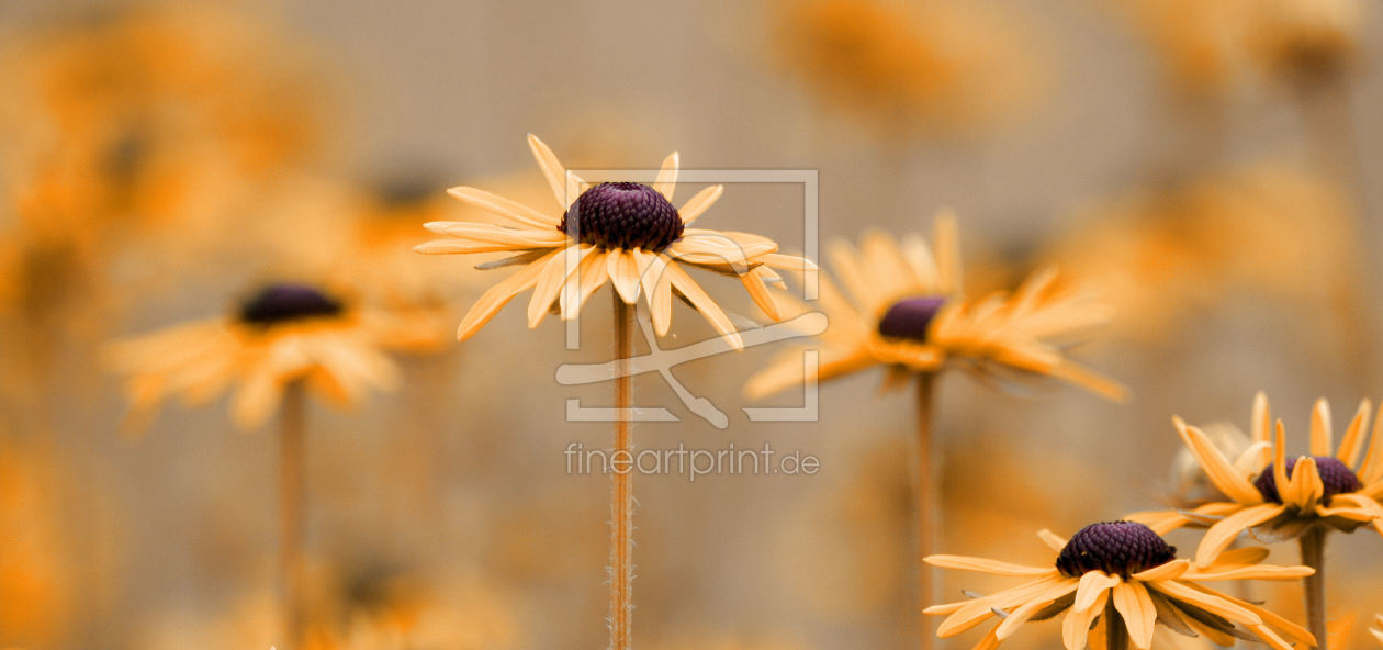 Bild-Nr.: 9992747 Flower-gold erstellt von Artvoni