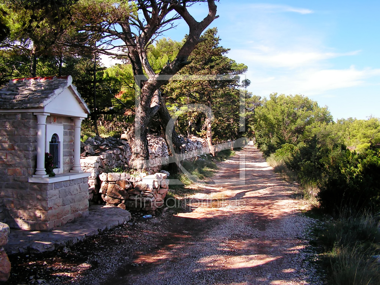 Bild-Nr.: 9993369 Feldweg in Kroatien erstellt von Galerie-Fotoeffekt