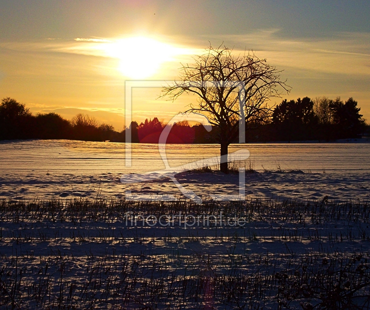 Bild-Nr.: 9994019 Sunset-Field erstellt von Marion227