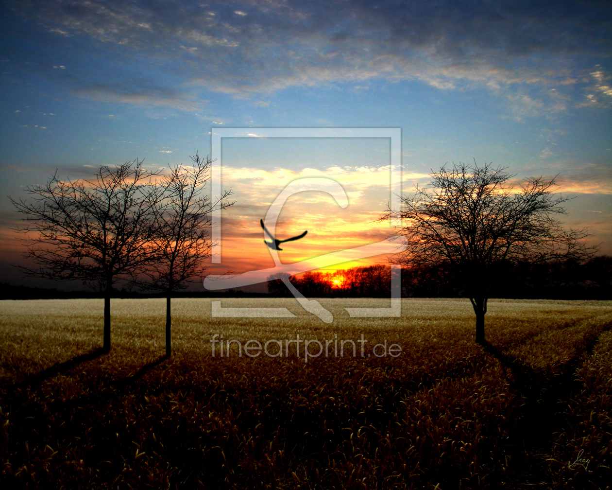 Bild-Nr.: 9994869 SURREAL NATURE III (BIRD) erstellt von yammay