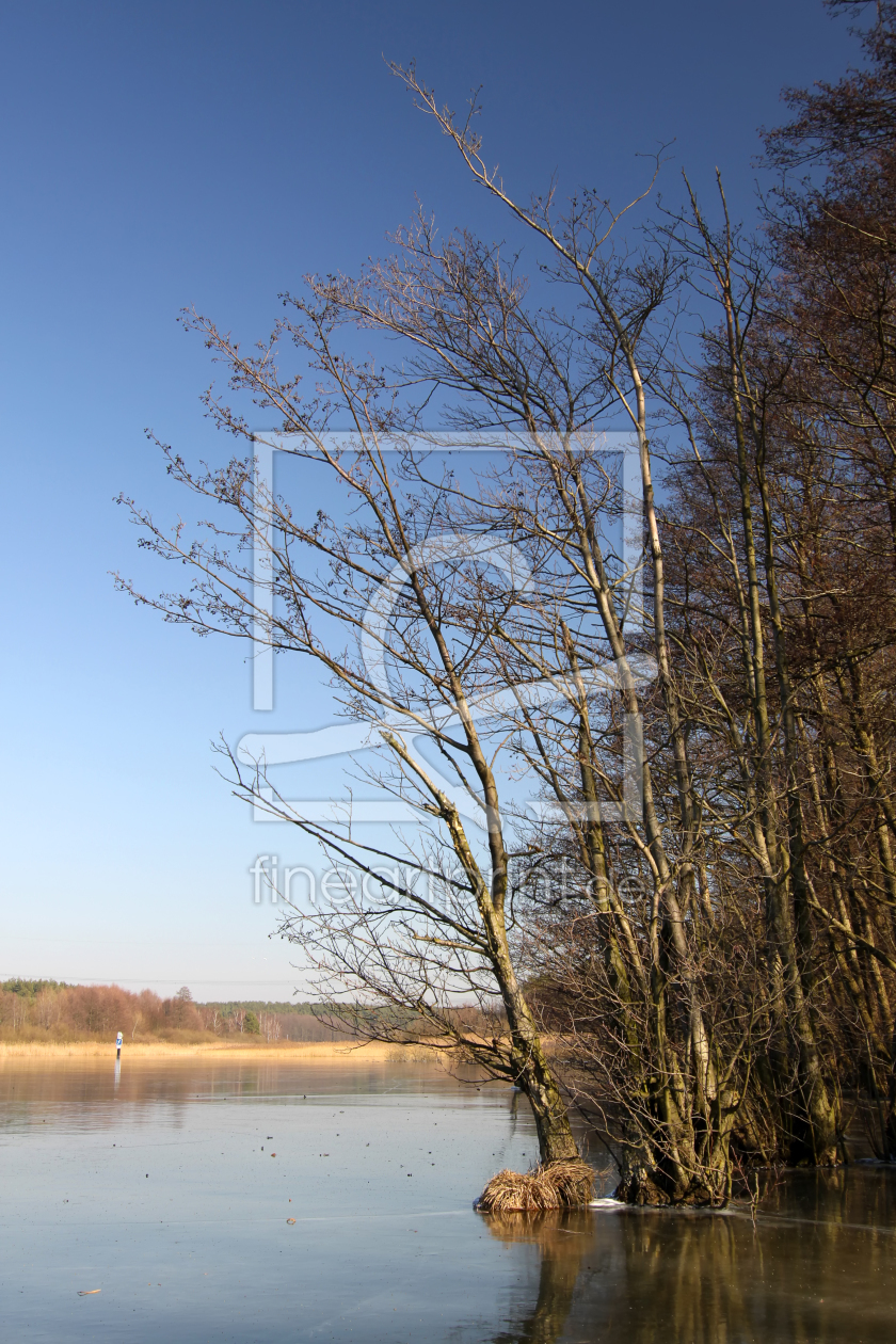 Bild-Nr.: 9995313 Nationalpark Müritz erstellt von FotoDeHRO