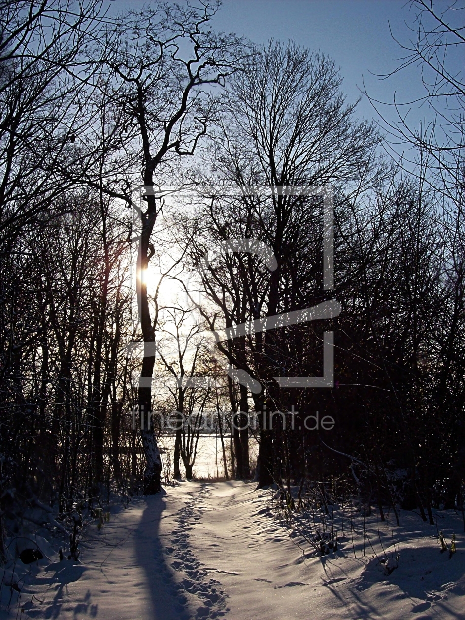 Bild-Nr.: 9997699 Snow-Walk erstellt von Marion227