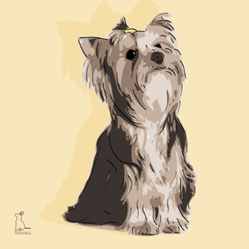 Yorkshire Terrier [Pfotenstore]/9230315
