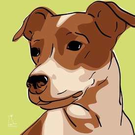 Jack Russell Terrier [Pfotenstore]/9251207