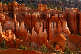 Bryce Canyon/9502246