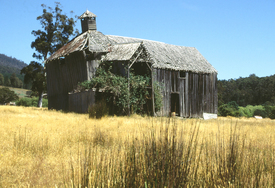 verfallene Holzkirche im outback/9567274