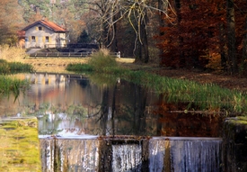 Spiegelungen im Herbst/9576438