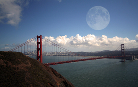 Golden Gate/9586214