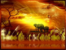 die farben afrikas/9612958